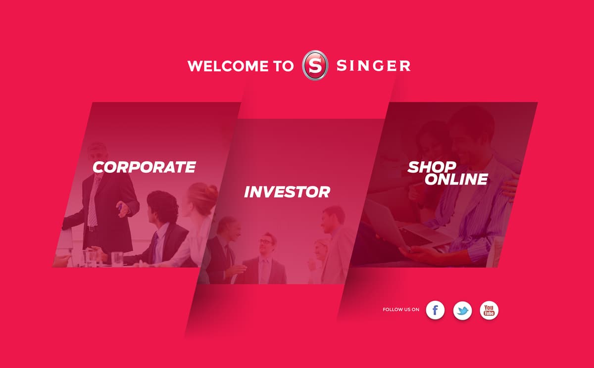 Singer Website - Image 4